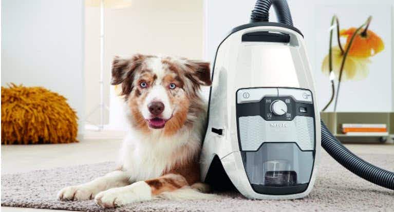 A dog laying next to a Miele vacuum cleaner on a rug.
