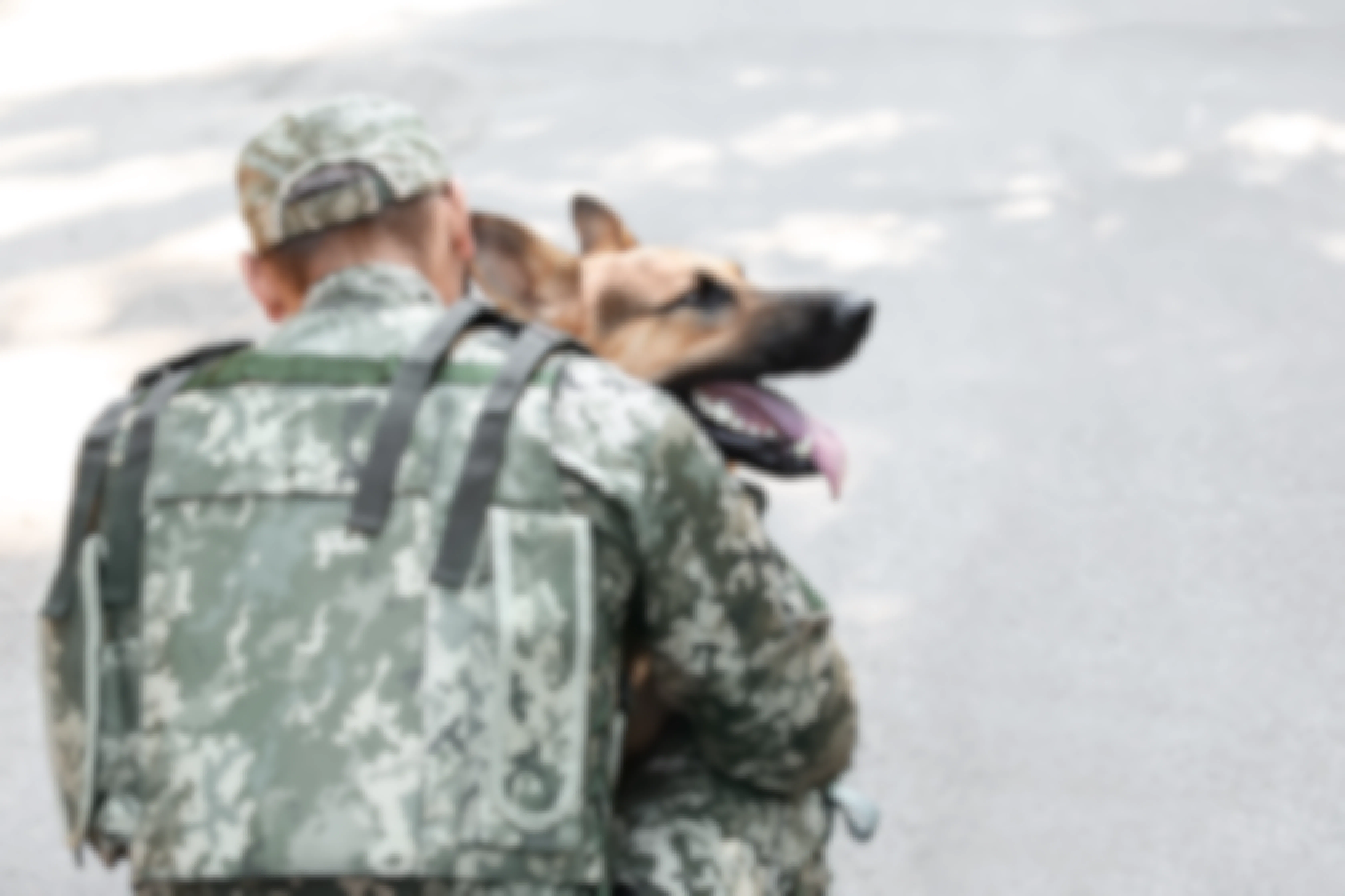 Member of the US Armed Forces dressed in a uniform kneeling down, hugging a German Shepherd dog.