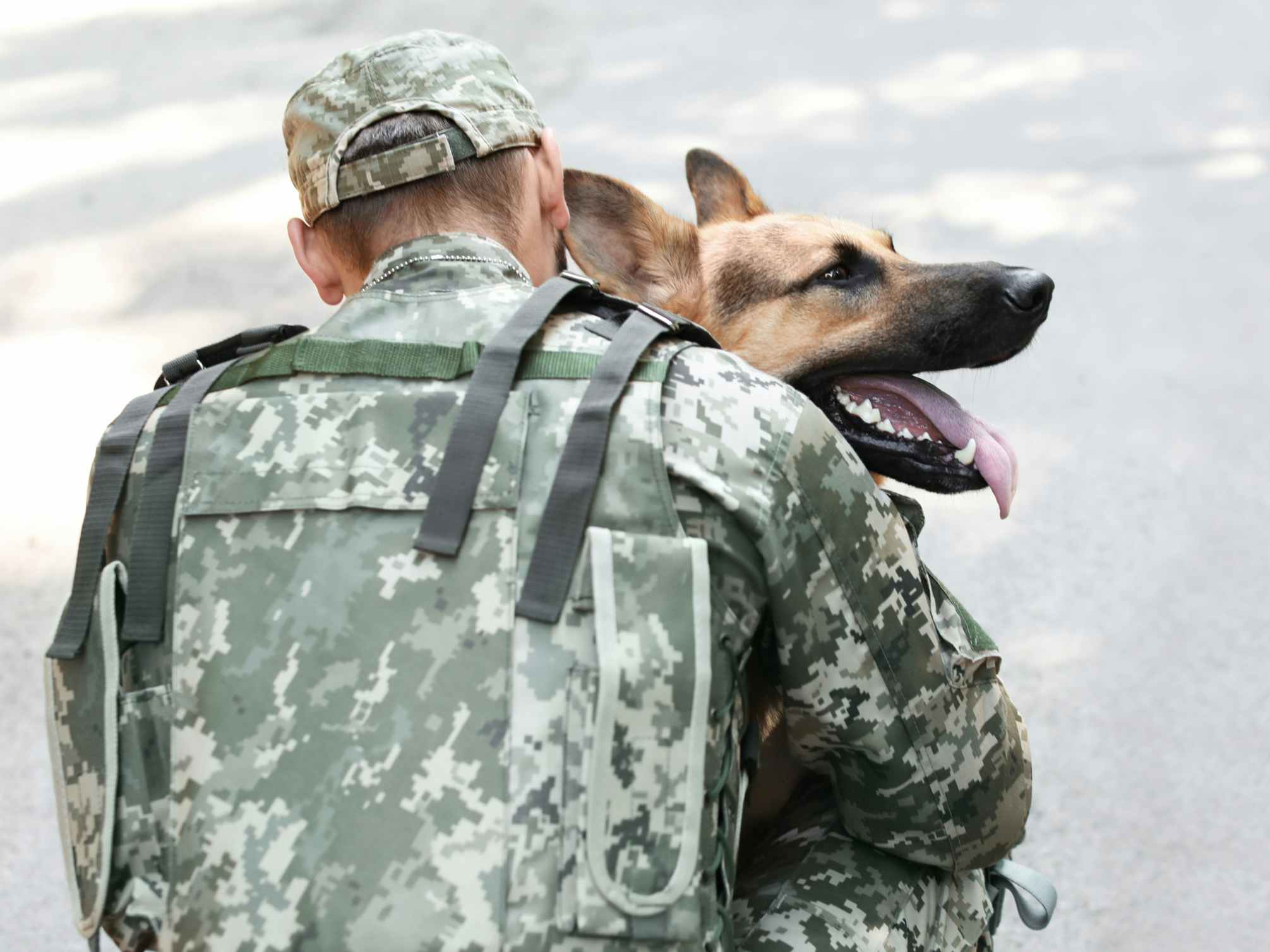 a person wearing a military uniform with a German shepherd dog
