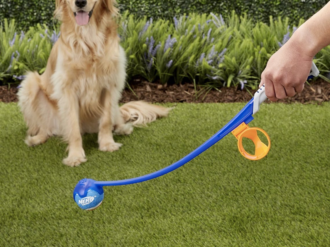 Sierra Trading Post Coupons The Krazy Coupon Lady May 2022