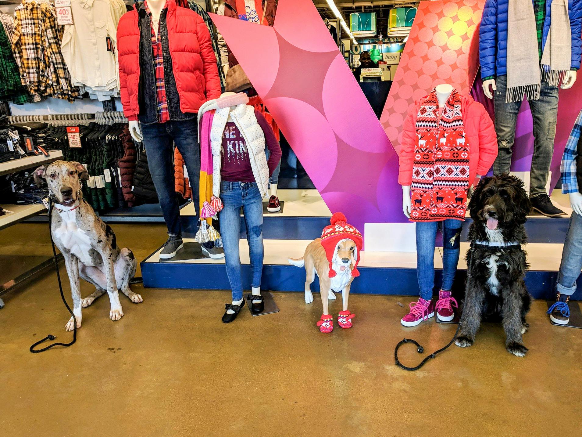 Two dogs sitting near the dog and people mannequins at the front of an Old Navy store.