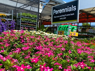 perennials spring home depot 2022 4 1649342322 1649342322 scaled