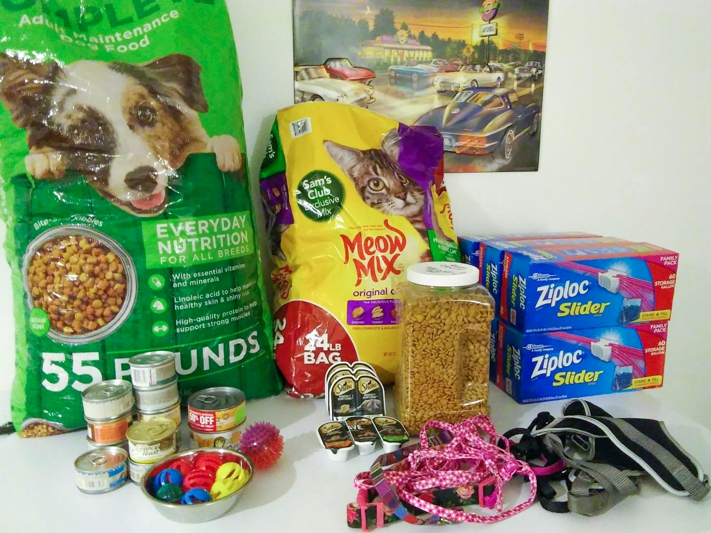 30 Paw Dropping Ways to Save on Every Pet Supplies Purchase The