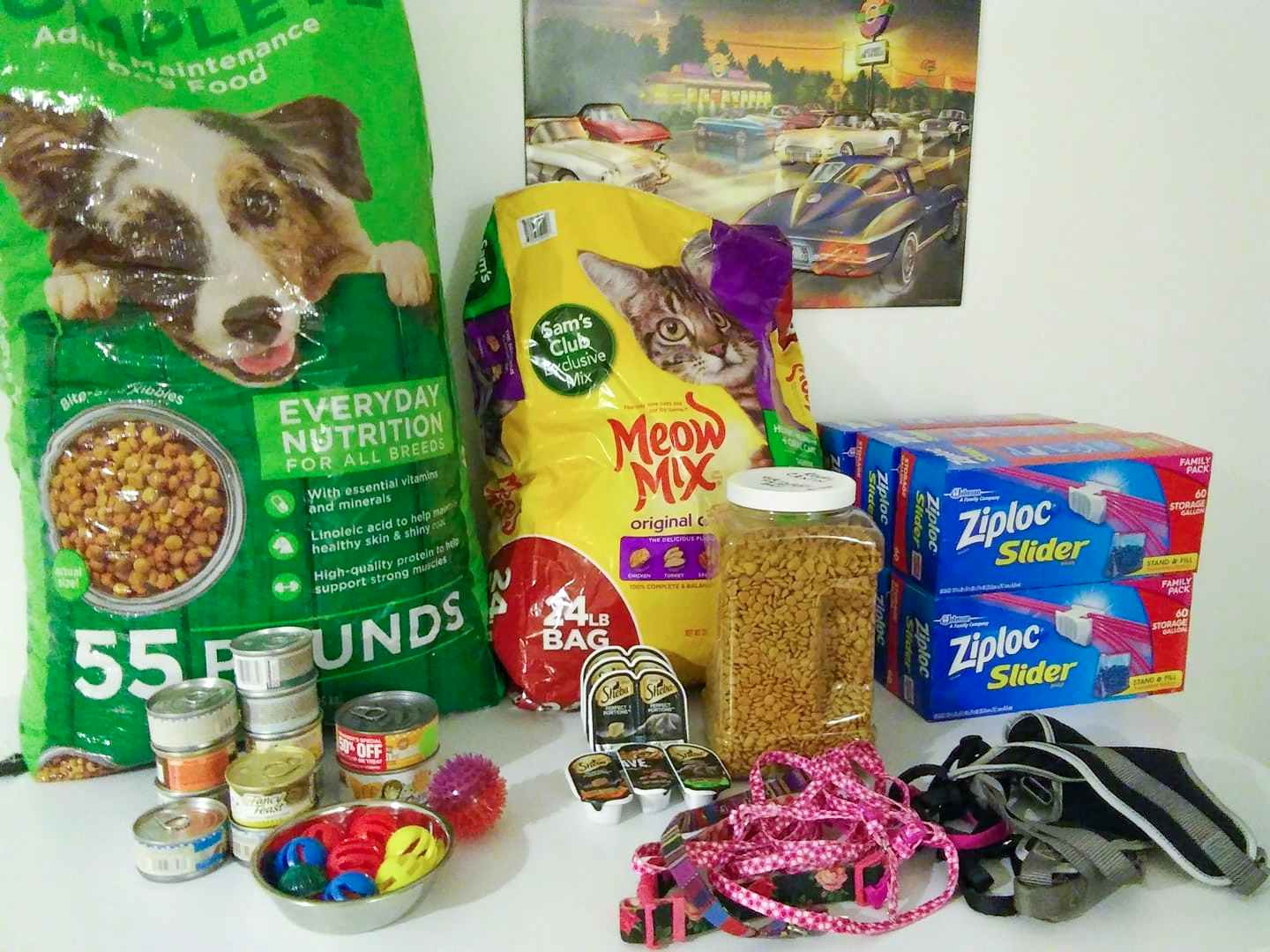 A table with pet supply donations including dog and cat food, toys, leashes, and plastic bags.