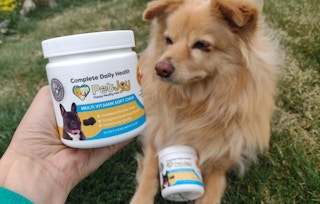 petjoy-dog-supplements-041922-d