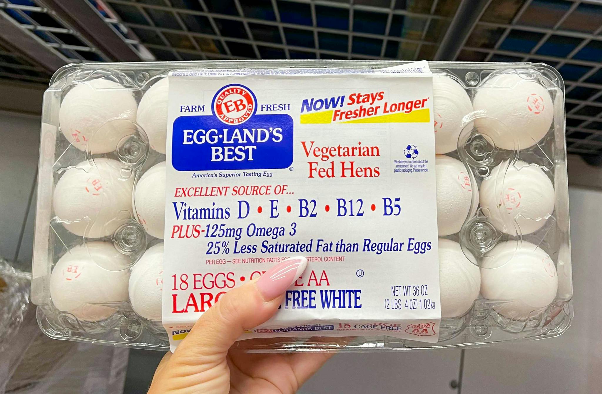person holding egglands best 18-count carton from sams club