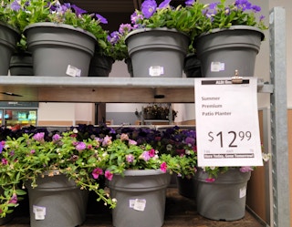 aldi patio planter 2022 sv 1652365169 1652365169