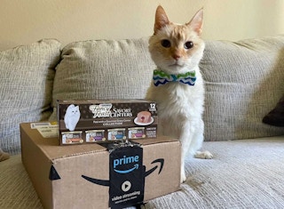 amazon box fancy feast cat ve 2022 1652064783 1652064783