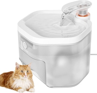 amazon cat water fountain 2022 1 1652980776 1652980776