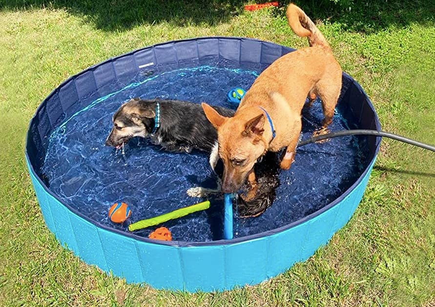 Attention Crafters Michaels Seriously Beefed Up Their Rewards Program