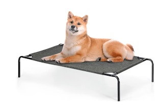 amazon elevated dog bed screenshot 1651504851 1651504851