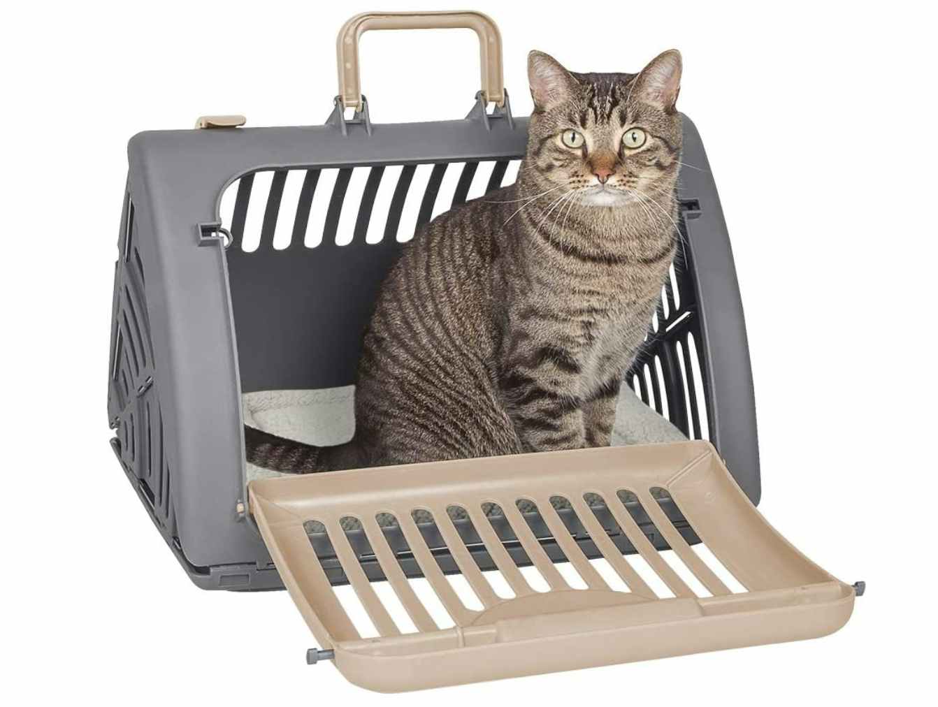 Foldable Travel Pet Carrier
