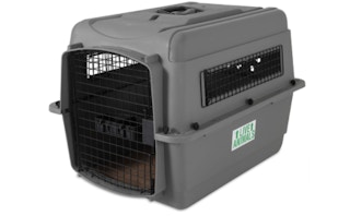 Petmate Sky Kennel Pet Carrier