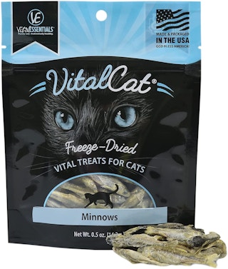 Amazon-Vital-Cat