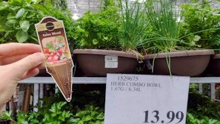 costco herbs 05242022c 1653420089 1653420089