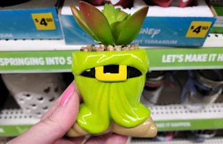 dollar general dopey succulent 2022 sv 1652207871 1652207871