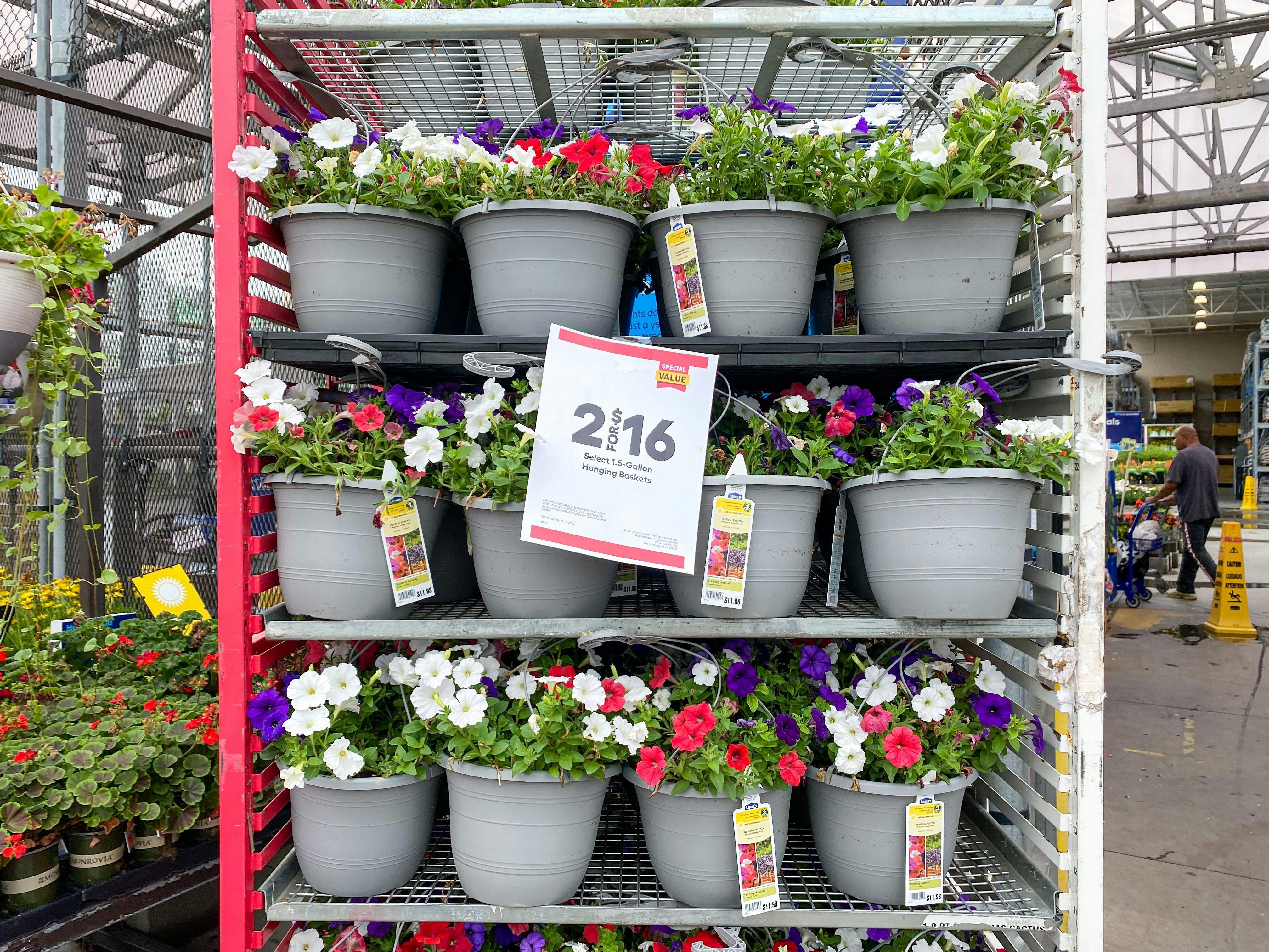 1.5Gallon Hanging Baskets, as Low as 8 at Lowe's The Krazy Coupon Lady