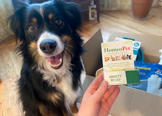 homeo pet anxiety relief amazon dog kcl favorite amazon pet finds 1652061541 1652061541 scaled