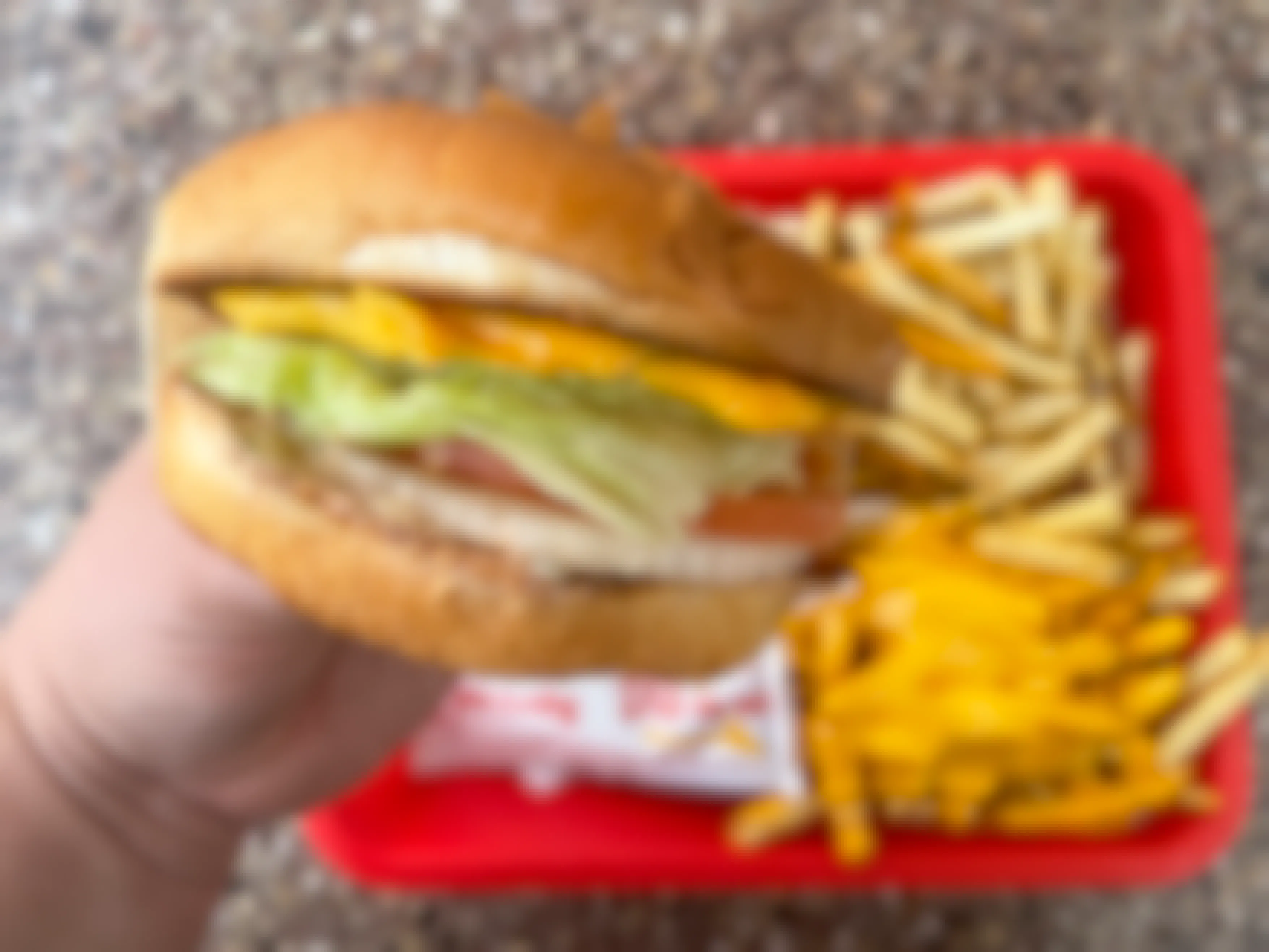 A person holding a grilled cheese with vegetables over a tray of french fries at In-N-Out, part of the in n out secret menu.