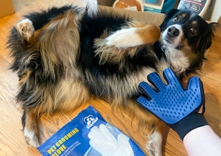 kcl favorite amazon pet finds delmo pet grooming glove dog 1652062237 1652062237 scaled