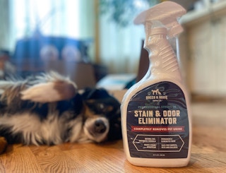 kcl favorite amazon pet finds rocco roxie stain odor remover cleaner spray 1652061711 1652061711 scaled