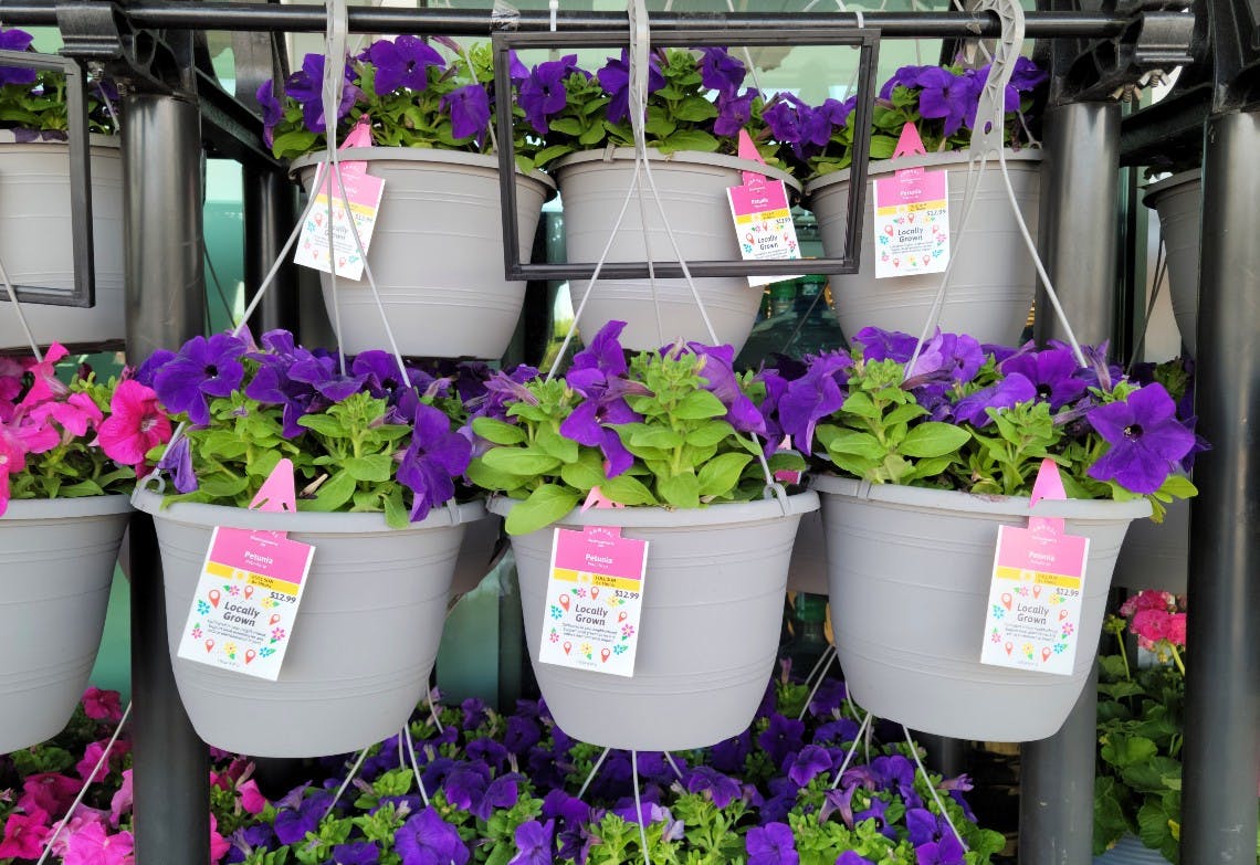 21 Black Friday Shopping Strategies Only the Pros Use The Krazy