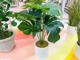 project 62 artificial plant target 2022 2 1652209895 1652209895 scaled