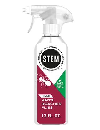 stem ant roach pest spray target 2022 1653062373 1653062373