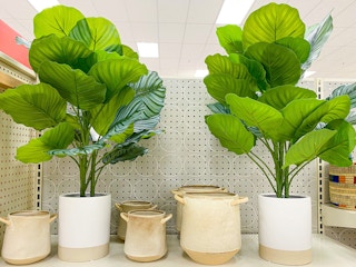 threshold artificial plant target 2022 1652209866 1652209866 scaled