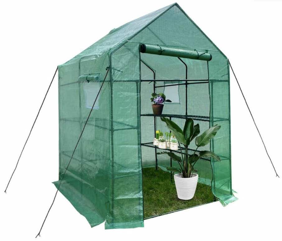 until gone Small Greenhouse for Garden stock image 2022
