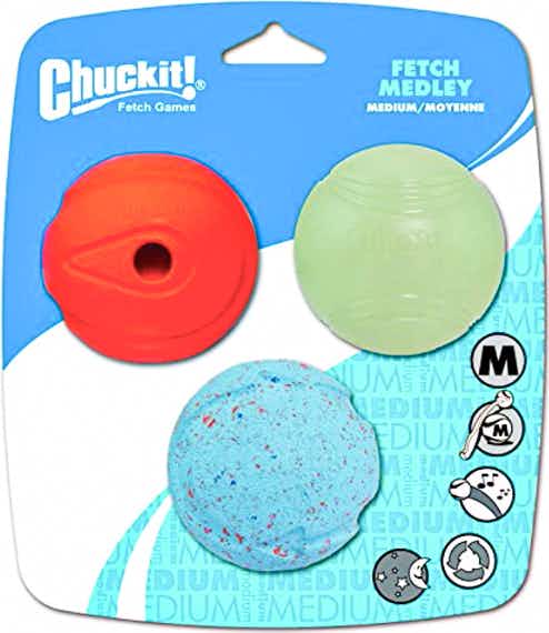 walmart-chuck-it-3-pack-medley-balls-dog-toy-2022