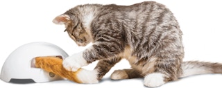 walmart-premier-pet-cat-foxtail-toy-2022