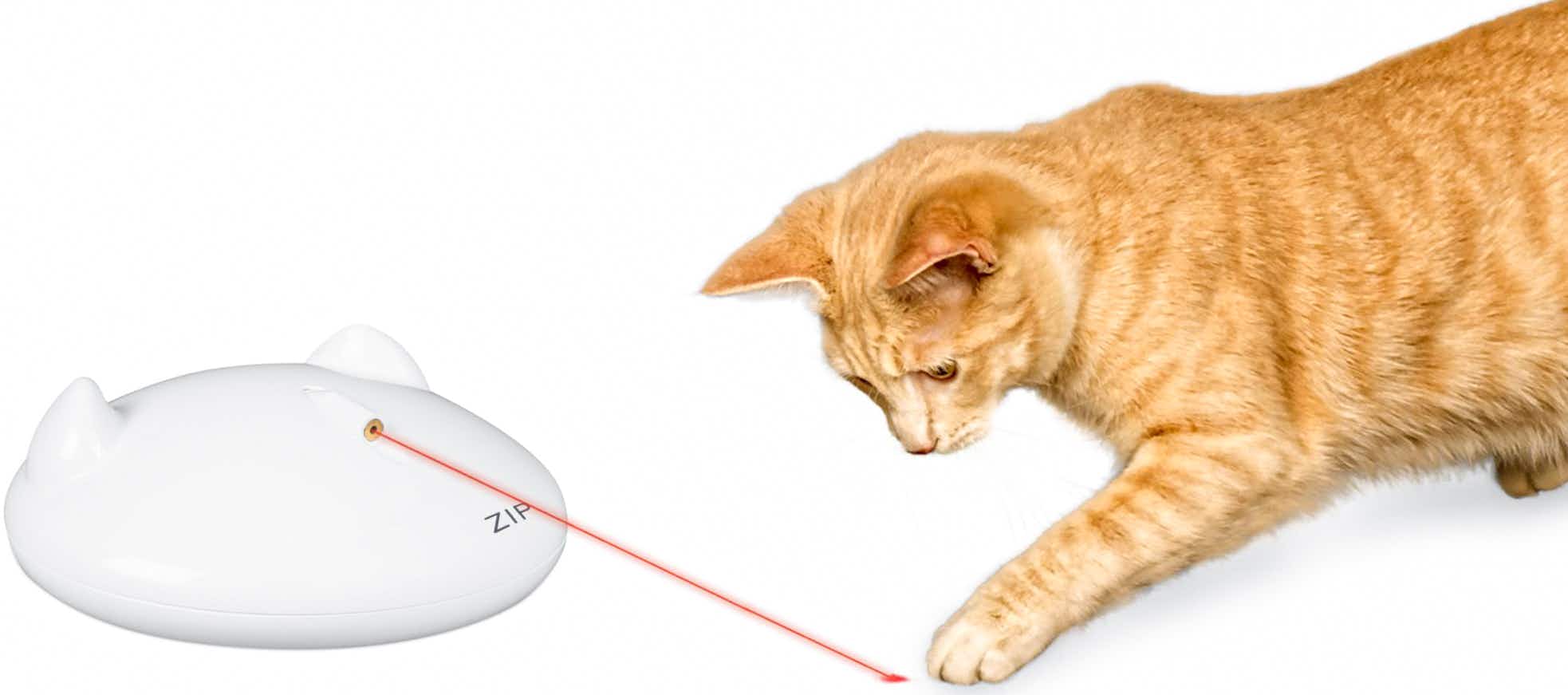 walmart-premier-pet-cat-laser-toy-2022
