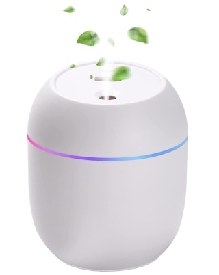 A white mini humidifier
