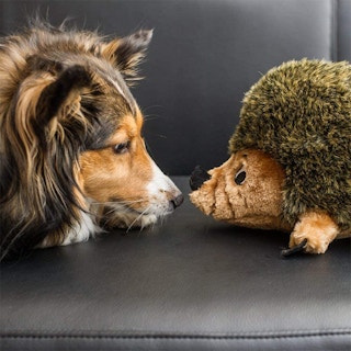 amazon outward hound hedgehog 1654875067 1654875067