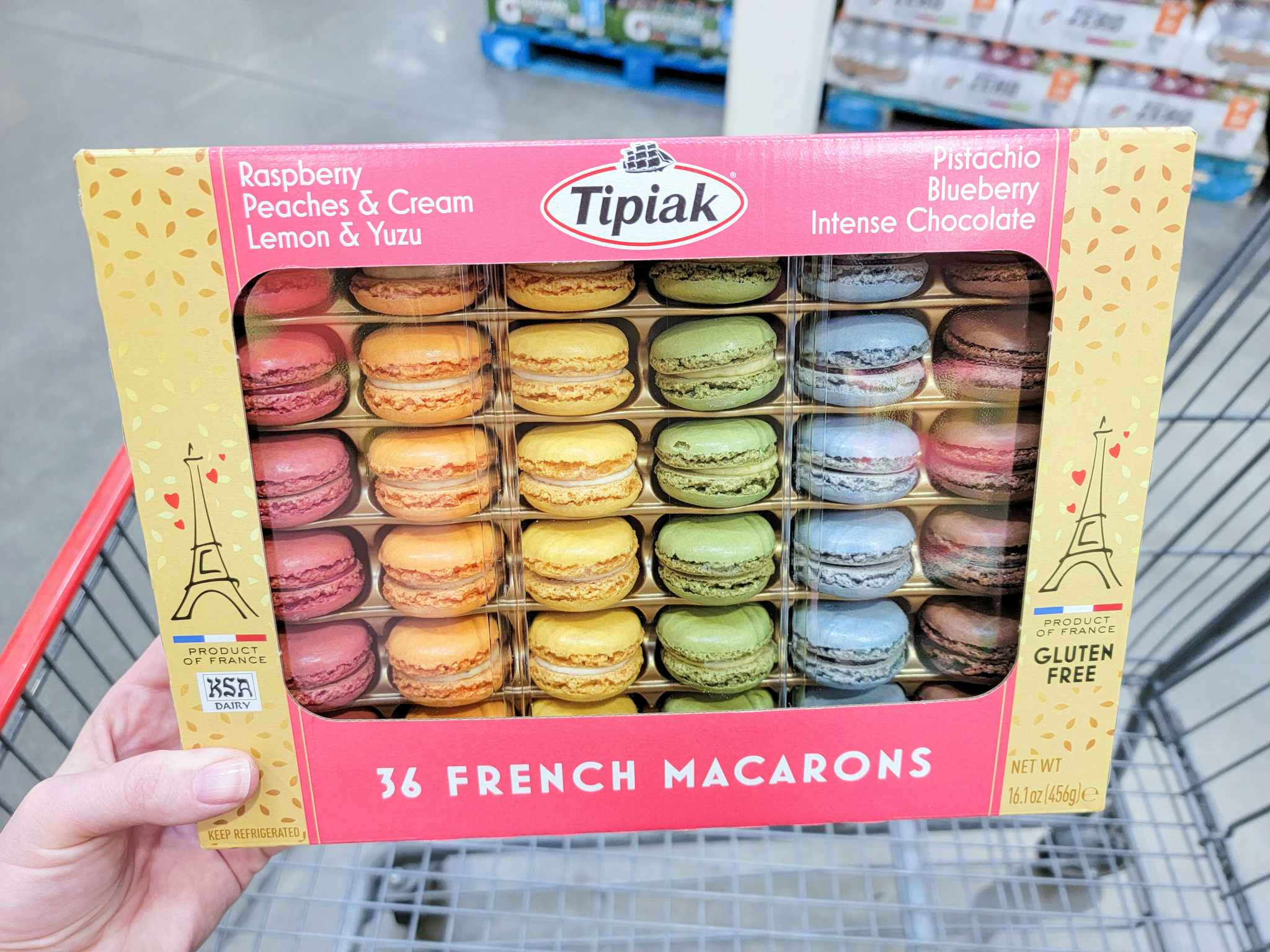 hand holding a package of 36 macarons