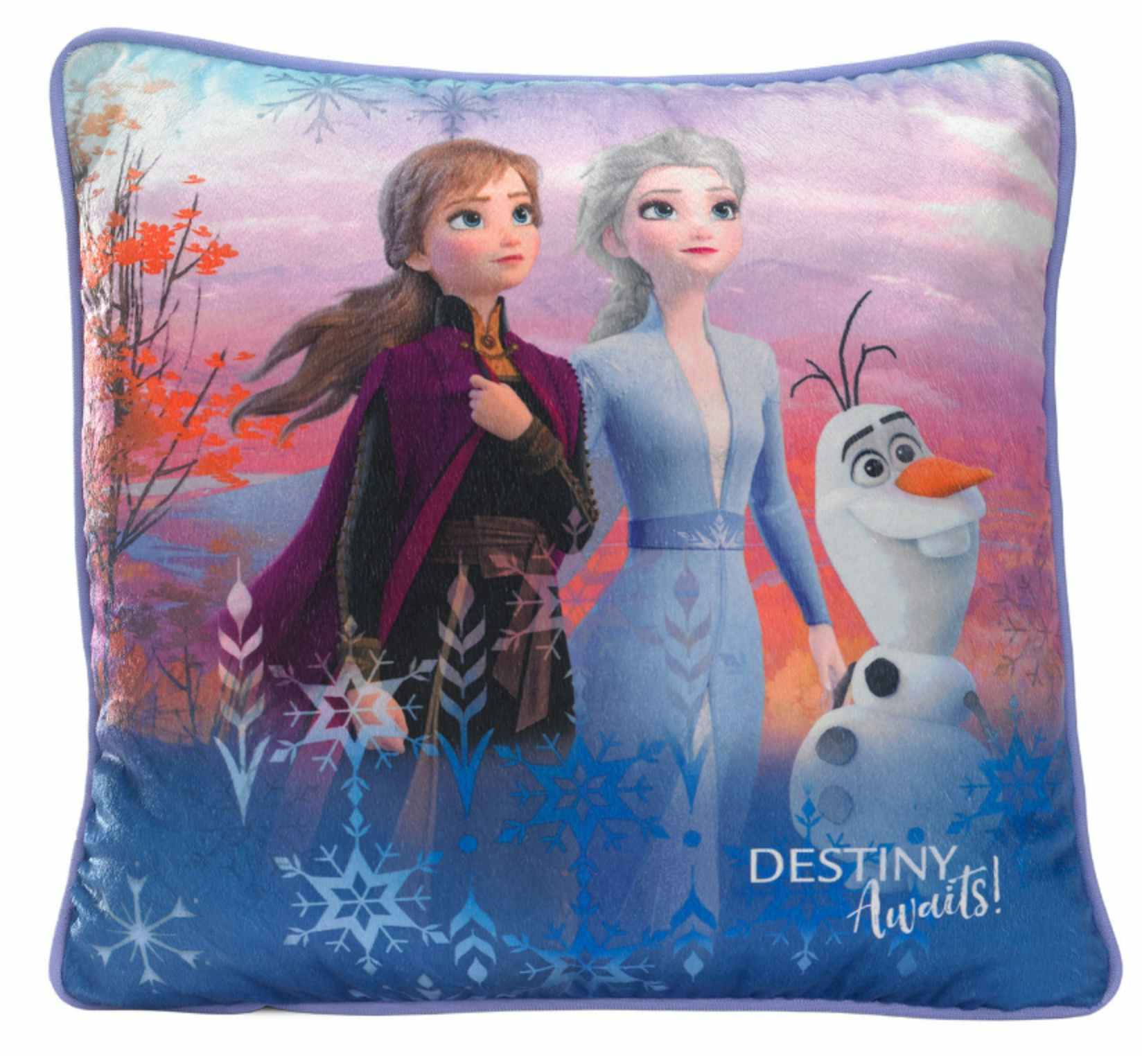 a disney frozen 2 throw pillow