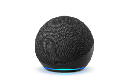 free Amazon Echo 4