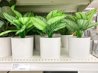 faux plants target 2022 10 1654096872 1654096872 scaled