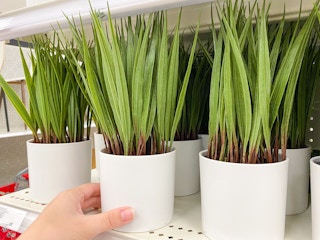 faux plants target 2022 11 1654096863 1654096863 scaled