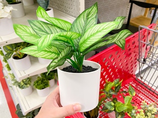 faux plants target 2022 13 1654096846 1654096846 scaled