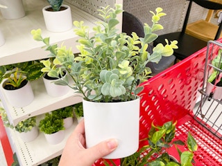 faux plants target 2022 14 1654096837 1654096837 scaled