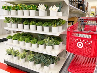faux plants target 2022 6 1654097159 1654097159 scaled