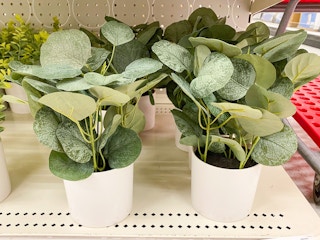 faux plants target 2022 7 1654096902 1654096902 scaled