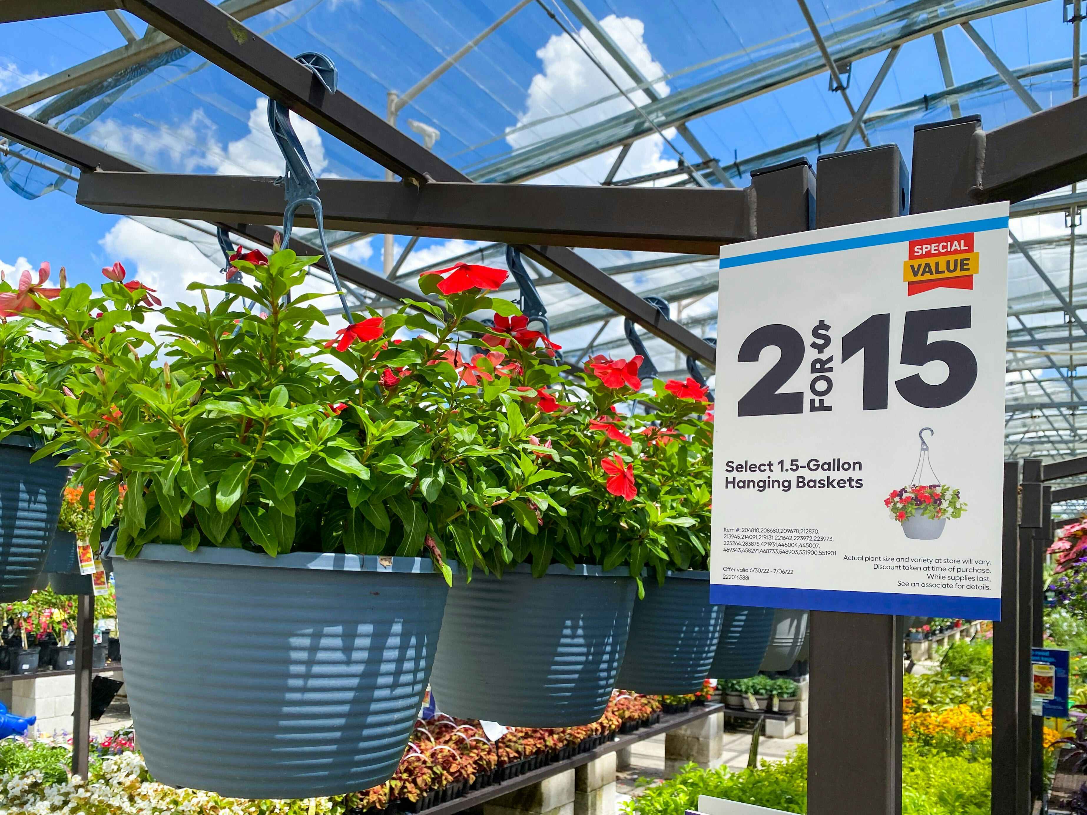 hanging flower baskets at Lowe's