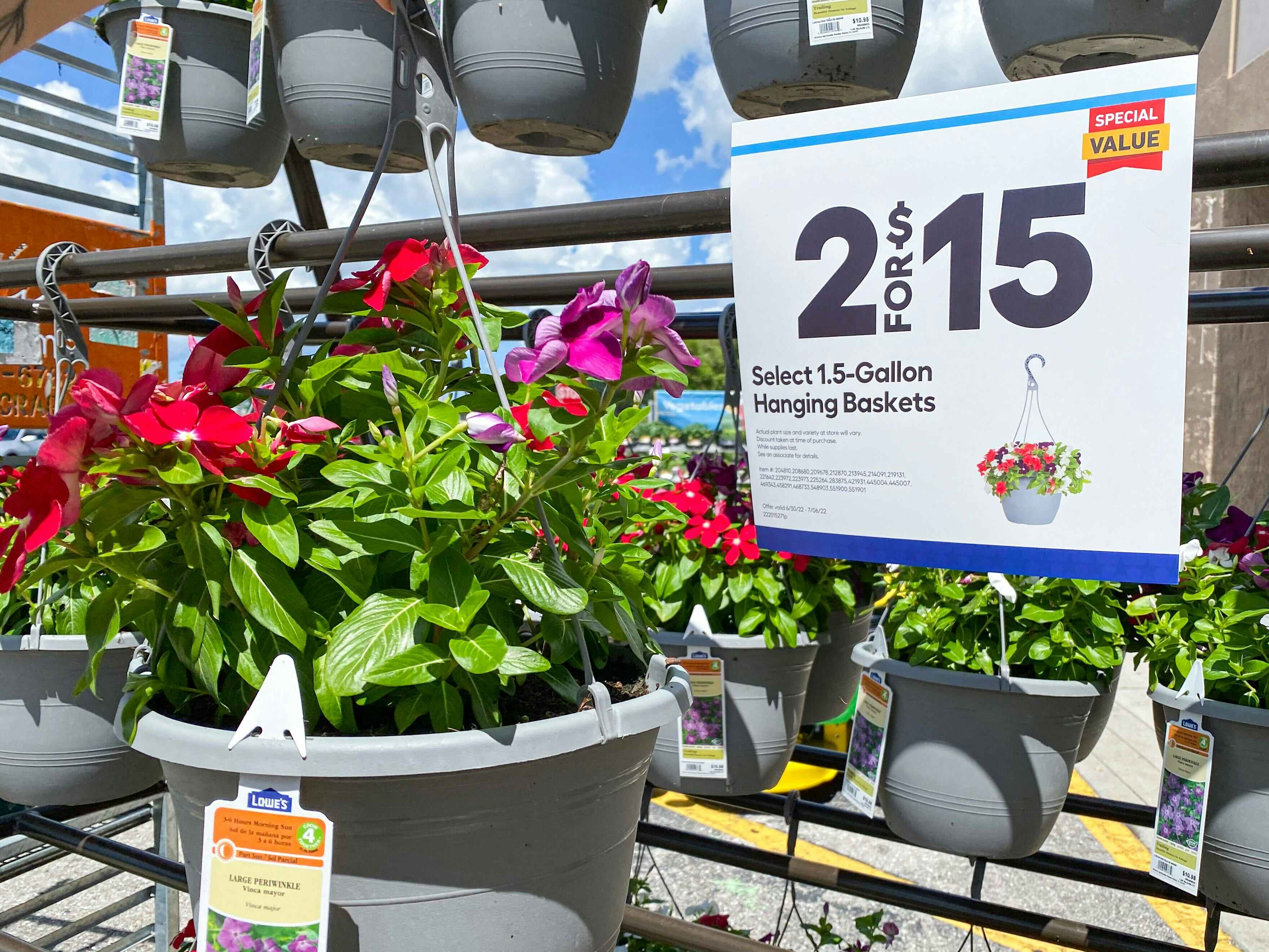 hanging flower baskets at Lowe's