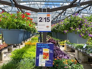 hanging flower baskets at Lowe's