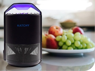 katchy indoor insect june 23 2022 1656004748 1656004748