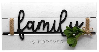 New View Family Forever Planked Wall Decor