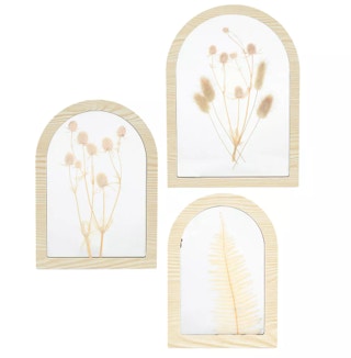 Sonoma Goods For Life® Pressed Botanical Wall Decor 3-piece Set